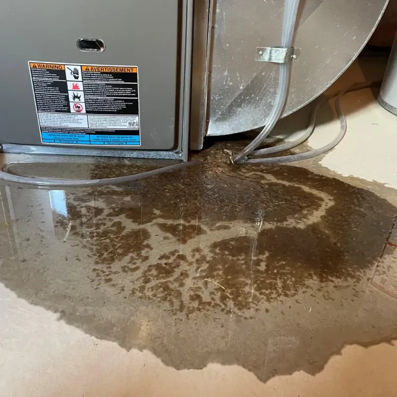 Appliance Leak Cleanup in Arlington, TX